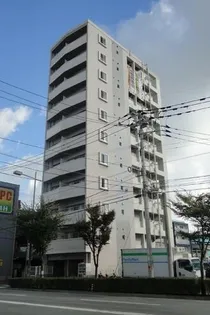 コスモス御笠川の画像