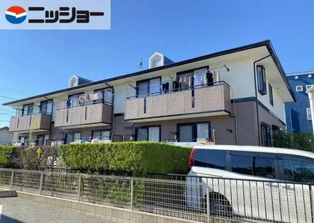 ハイカムールの画像