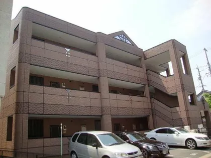 ピュア エクセルの画像