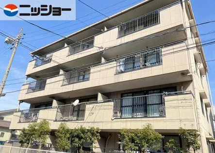 サンライズ タケソウの画像