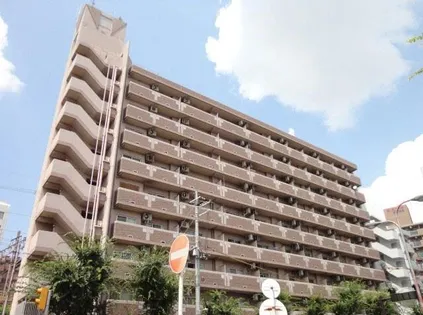 サウスフラット【7階】の外観