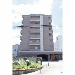 パールコートエルザの画像