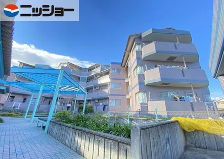 ブルーラヴァンドの画像