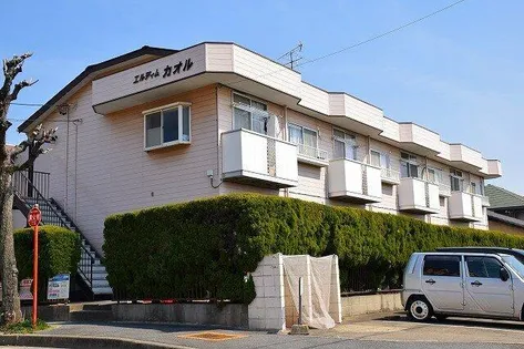 エルディムカオルの画像