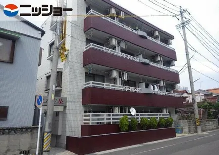 ファシルの画像