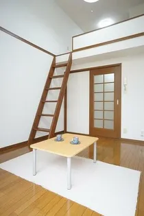 パピヨンIIの画像