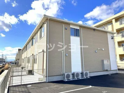 ガジュマルの画像