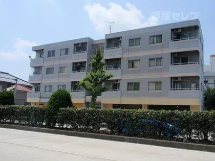 シティメイツKODEKIの画像