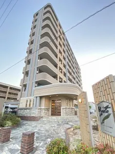 シャルマンローズ黒瀬IIの画像