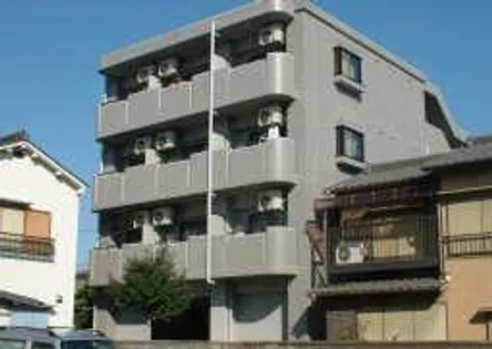 エバーグリーン明治の画像