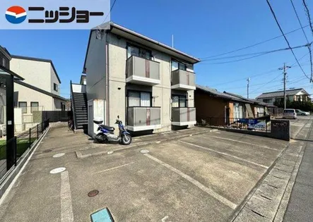 サンシガの画像