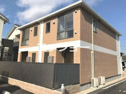 スプレンドーレの画像