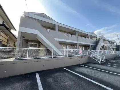 Tハピネスの画像