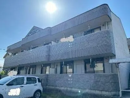 サザンクロスの画像