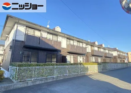 ハイカムールひまわりの画像