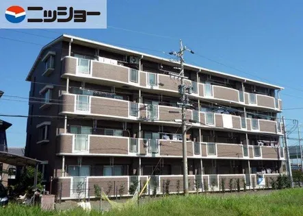 スターライト藤の画像