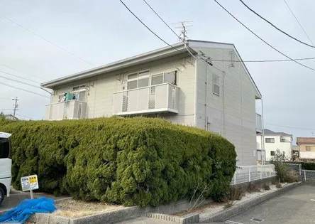 ファミールY Bの画像