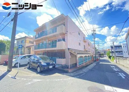 シャインスマイリーの画像