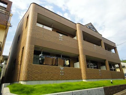 シトラスの画像