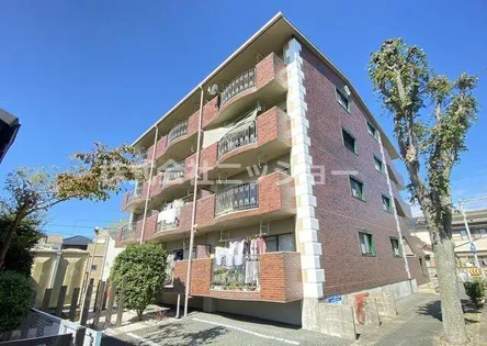 ディルーエの画像