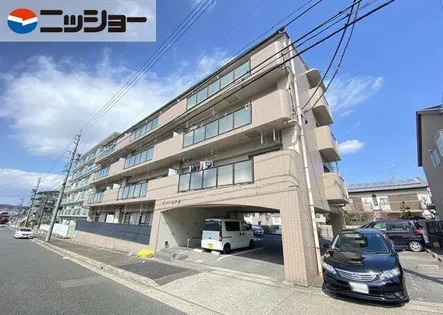 エントピア原の画像