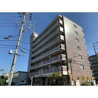 アピオンの画像