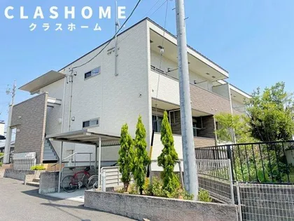 ハラストーイ駒草の画像