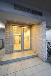 コスモス御笠川の画像