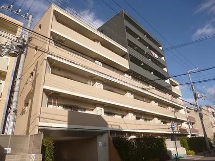 ソレイユアンドメイプルの画像