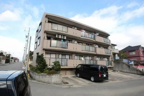 ウイング錦の画像