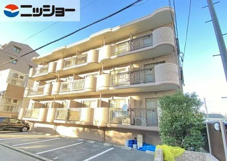 シティサンフラワーの画像