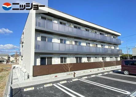 クリザンテームの画像