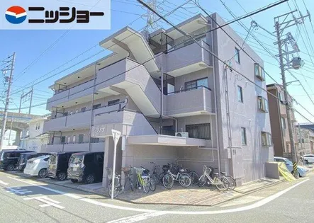 ピュアS Tの画像