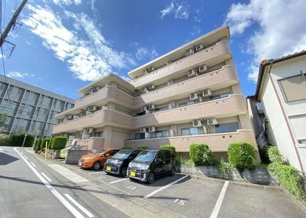 エクセル塩釜Ⅲの画像