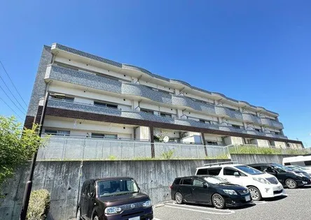 CENTRAL FERSの画像