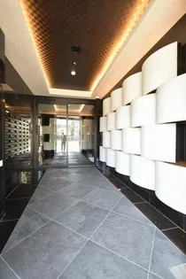 ALFACIO DIFONDの画像