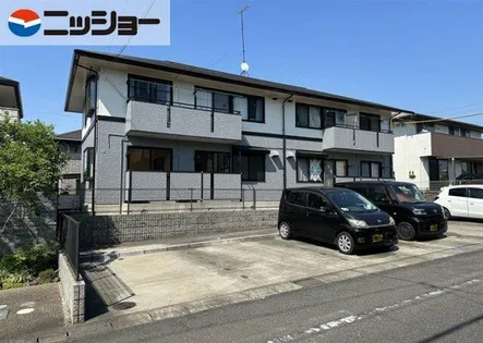 オリオンキクの画像