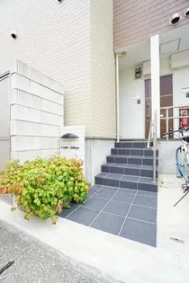 コルテス千早の画像