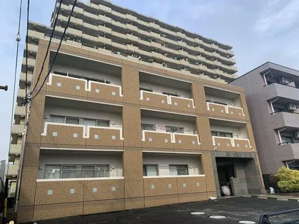 プティアルカンシェルの画像