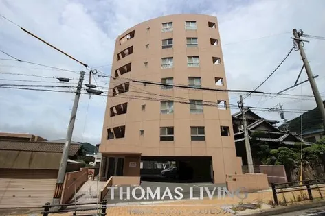 ヤナギサイトの画像