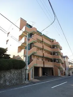 クウィーンズ昭代の画像