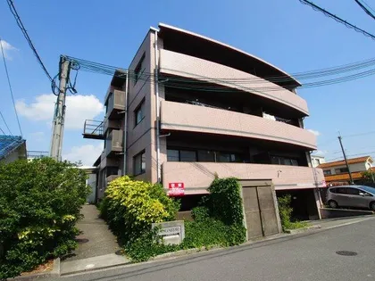 FELISEED 菩提の画像