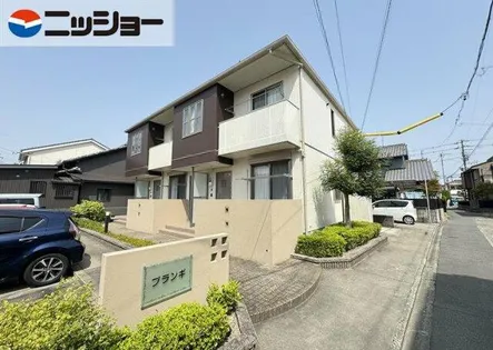 プランギの画像