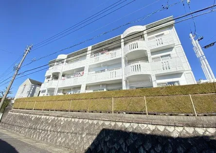 サンハイツ亀の井の画像