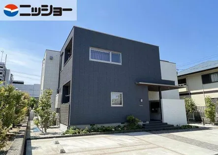 カメリヤの画像