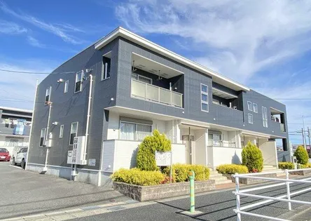 ラフィネMS Bの画像