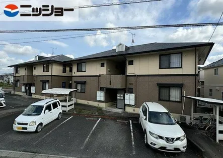 ハイカムール美幸の画像