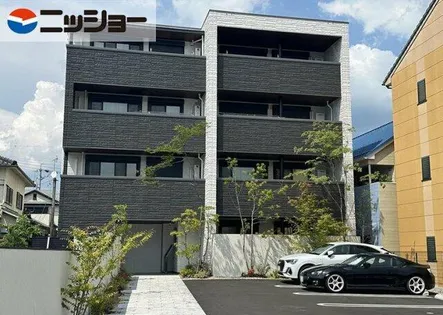 アンビエラの画像