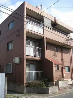 唐人ハイムの画像