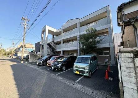 グランドシェイプの画像
